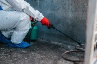 What Are the Best Smart Gadgets for Maintaining Pet Hygiene?