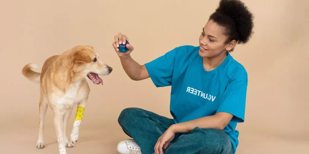 How Do Smart Pet Gadgets Help With Interactive Play and Engagement? How Do Smart Pet Gadgets Help With Interactive Play and Engagement?