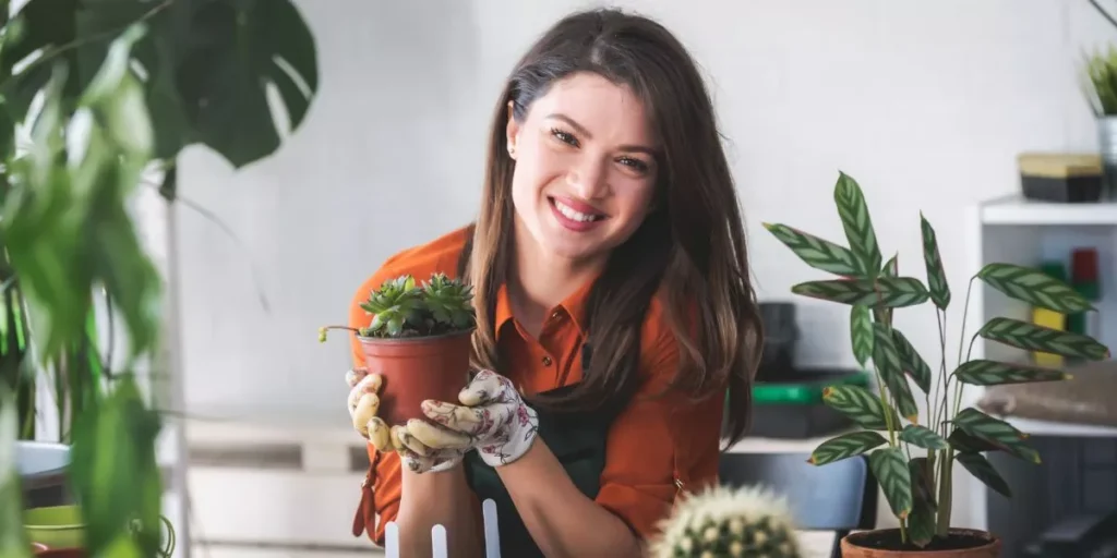 What Are the Best Tips for Seasonal Indoor Gardening? What Are the Best Tips for Seasonal Indoor Gardening?